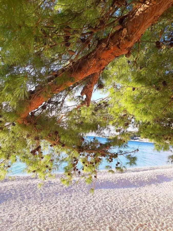 Luxury Apartment M&N In Split - Free Parking Экстерьер фото